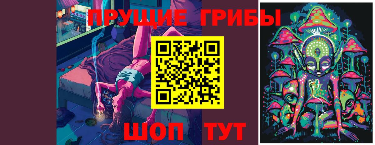 Солнечногорск  Галлюциногенные грибы Psilocybe  Вход с VPN  Псилоцибиновые грибы GOLDEN TEACHER 